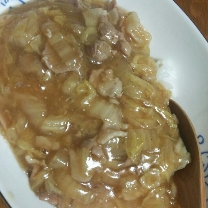 ご飯がすすむ(^○^)！白菜と豚肉のトロトロ丼